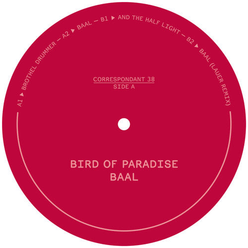 Bird of Paradise: Baal