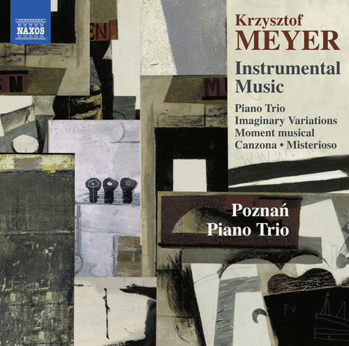 Meyer / Poznan Piano Trio: Meyer: Instrumental Music