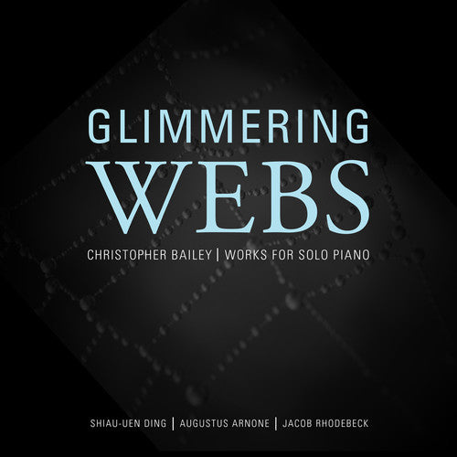 Bailey / Arnone / Rhodebeck / Ding: Glimmering Webs