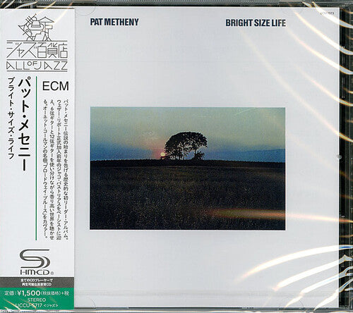 Metheny, Pat: Bright Size Life