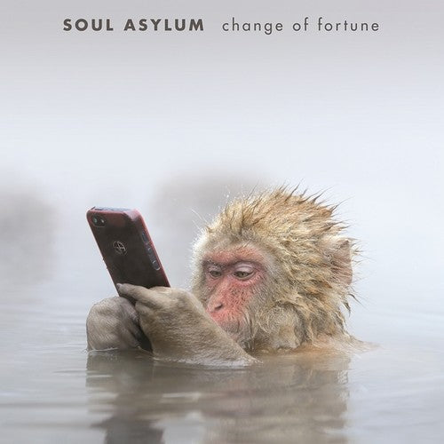 Soul Asylum: Change of Fortune