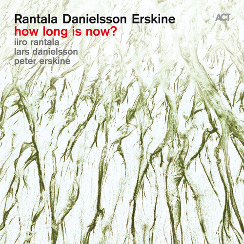 Rantala / Danielsson / Erskine: How Long Is Now