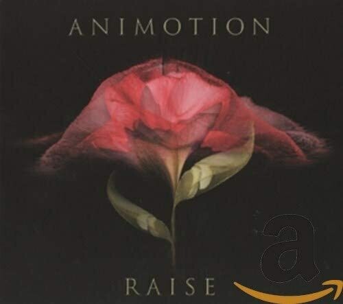 Animotion: Raise Your Expectations