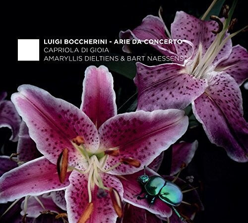 Boccherini / Dieltiens / Naessens: Boccherini: Arie Da Concerto