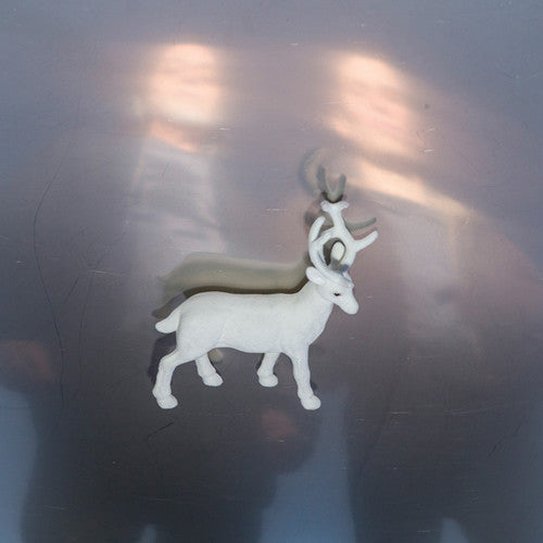 Buck Gooter: Stainless Steel Mirrors