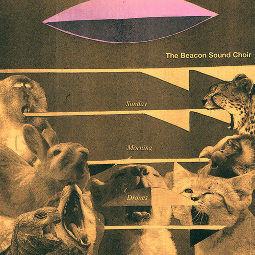 Beacon Sound Choir: Sunday Morning Drones