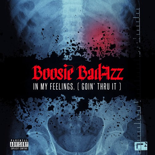 Boosie Badazz: In My Feelings (Goin' Thru It)