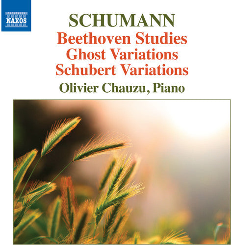 Schumann, Robert / Chauzu, Olivier: Beethoven Studies Ghost Variations & Schubert Variations