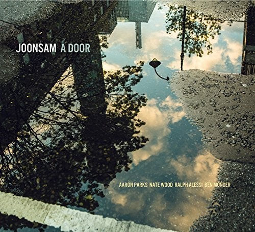 Joonsam: Door