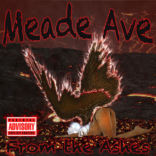 Meade Ave: From The Ashes