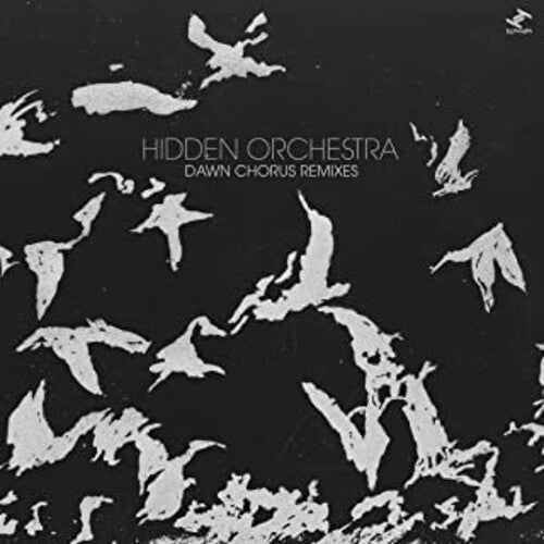 Hidden Orchestra: Dawn Chorus