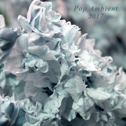 Pop Ambient 2017 / Various: Pop Ambient 2017 / Various