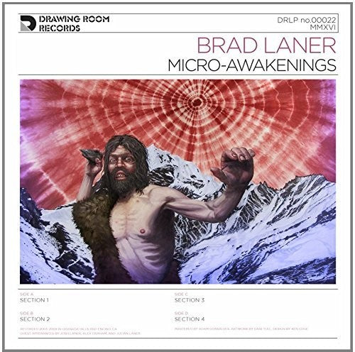 Laner, Brad: Micro-awakenings