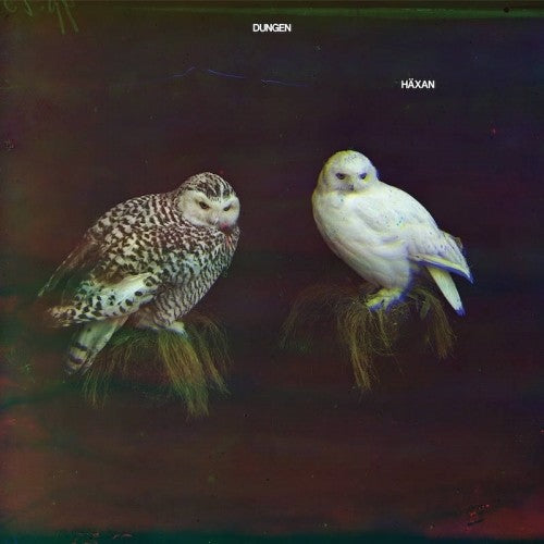 Dungen: Haxan