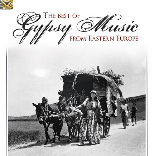 Best Gypsy Music From Eastern Europe / Various: Best Gypsy Music from Eastern Europe