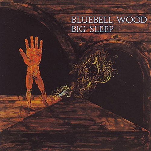 Big Sleep: Bluebell Wood