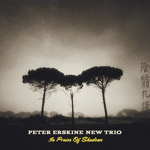 Erskine, Peter New Trio: In Praise Of Shadows