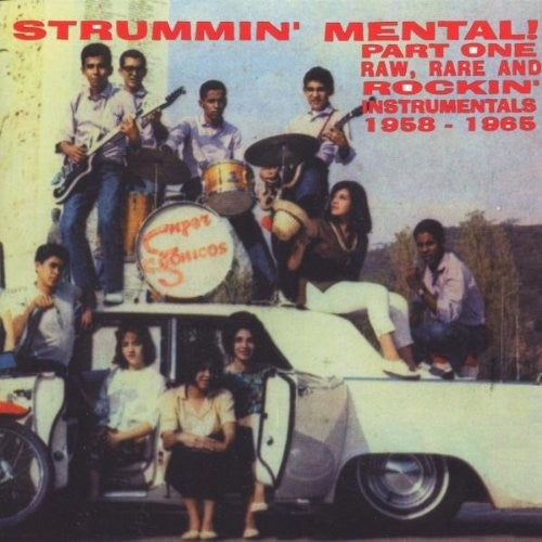 Strummin Mental 1 / Various: Strummin Mental, Vol. 1 (Various Artists)