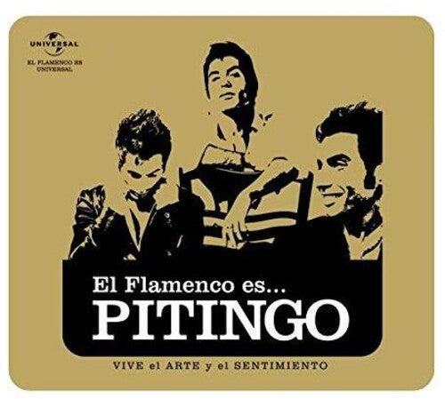 Pitingo: El Flamenco Es Pitingo