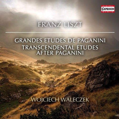 Liszt / Walaczek: Transcendental Etudes After Paganini