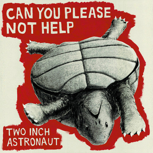 Two Inch Astronaut: Can You Please Not Help