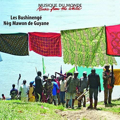 Les Bushinenge: Neg Mawon De Guyane