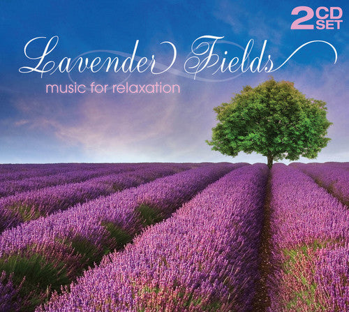 Lavender Fields / Various: Lavender Fields