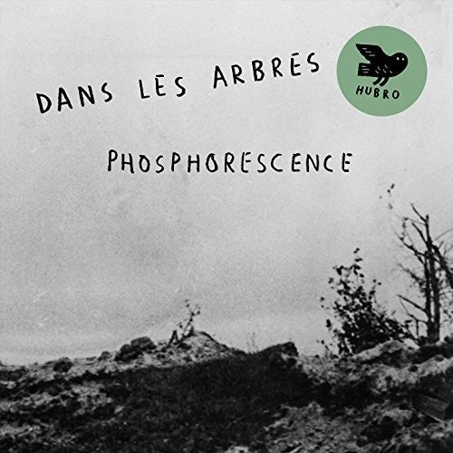 Dans Les Arbres: Phosphoresence