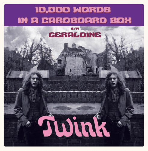 Twink: 10,000 Words In A Cardboard Box