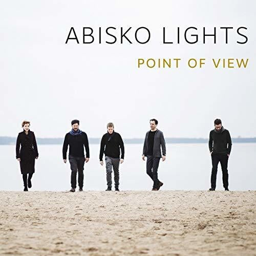 Abisko Lights: Point Of View