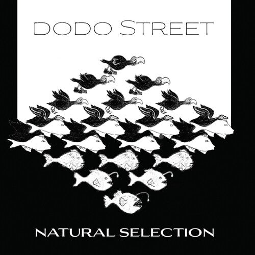 Adams / Dodo Street Band / Byrne: Natural Selection