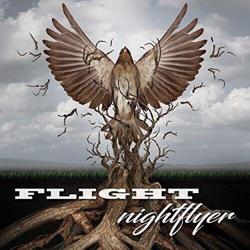 Nightflyer: Flight