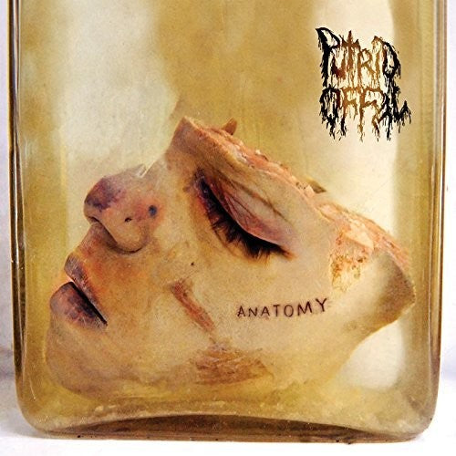 Putrid Offal: Anatomy