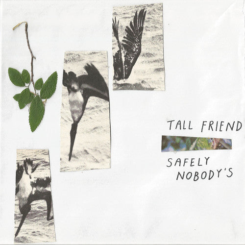 Tall Friend: Safely Nobody's