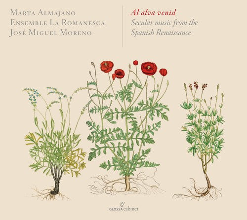 Mudarra / Ensemble La Romanesca: Al Alva Venid - Secular Music from the Spanish