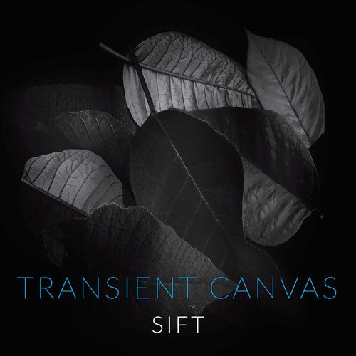 Tallon / Canvas / Sharrock: Sift