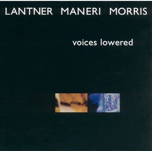 Lantner, Steve / Maneri, Joe / Morris, Joe: Voices Lowered