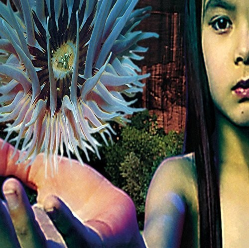 Future Sound of London: Lifeforms