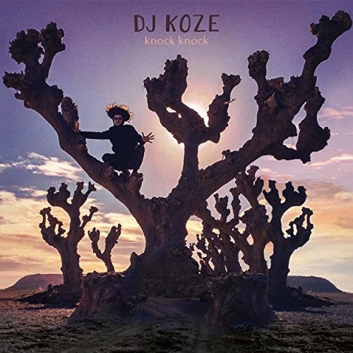 DJ Koze: Knock Knock