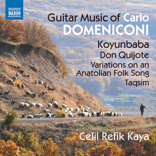 Domeniconi / Kaya: Guitar Music of Carlo Domeniconi