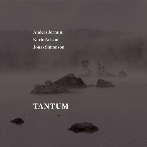 Bach, J.S. / Jormin / Simonson: Tantum