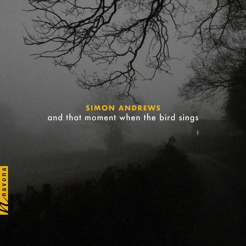 Andrews / Maurer: & That Moment When the Bird Sings