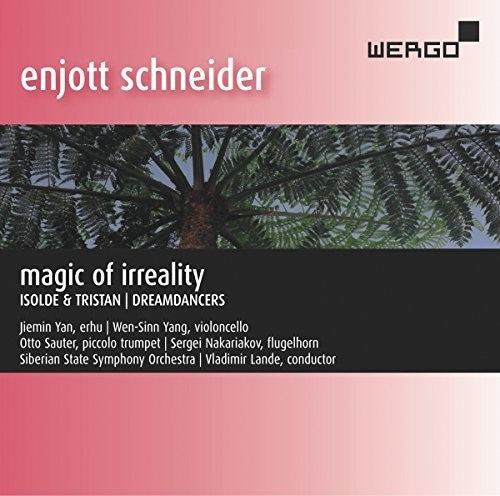 Schneider / Yan: Magic of Irreality