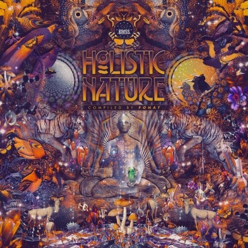 Holistic Nature: Compiled by Fohat / Various: Holistic Nature: Compiled By Fohat / Various