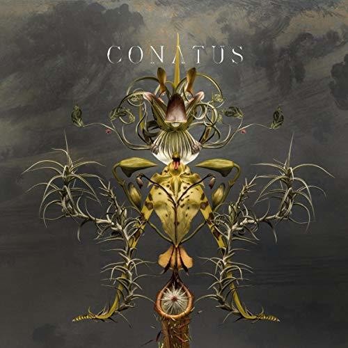 Beving, Joep: Conatus