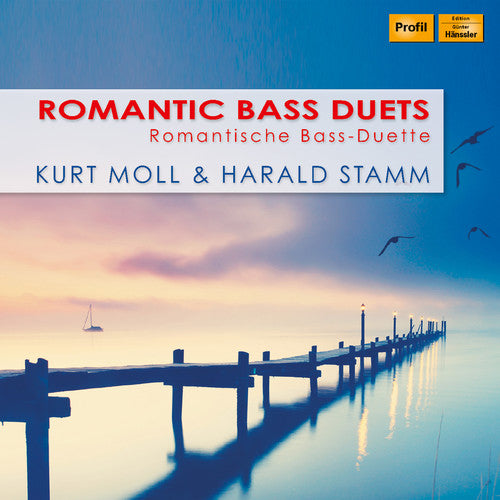 Dvorak / Stamm / Grunelius: Romantic Bass Duets