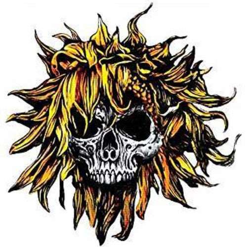 Sunflower Dead: C.O.M.A.