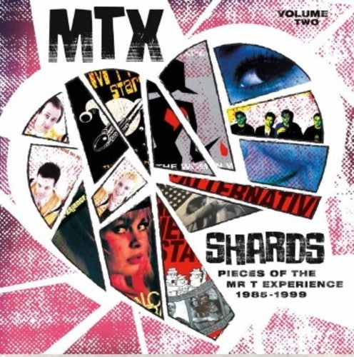 Mr T Experience: Shards Vol. 2