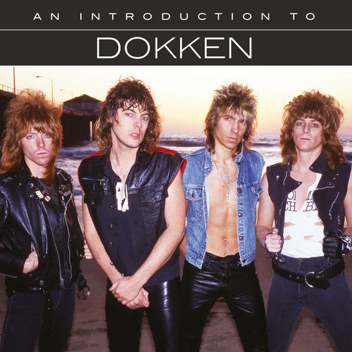 Dokken: An Introduction To DOKKEN