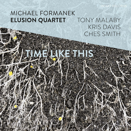 Formanek, Michael: Time Like This